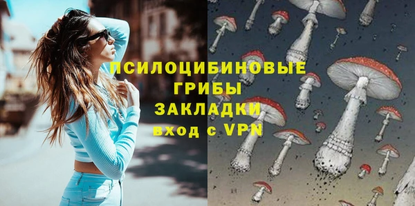 дмт Алексеевка