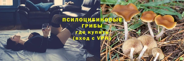 героин Алзамай